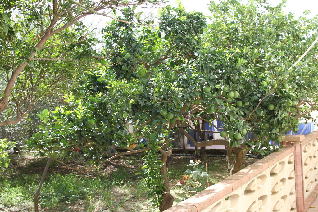 B&B Giarrizzo Licata Buitenkant foto